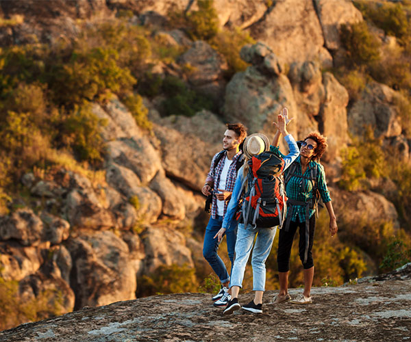 Group Tours