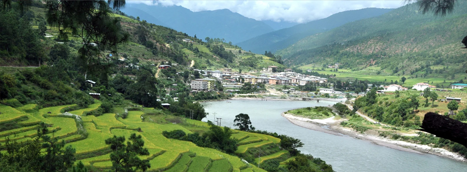 Arrange a Group Trip