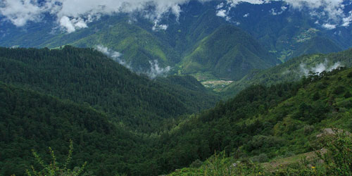 Wildlife and Nature Tours