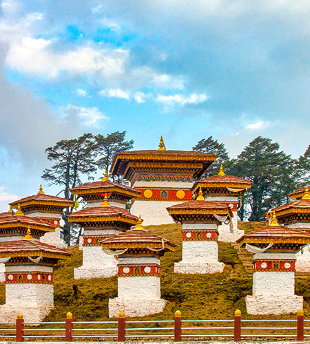 Hill Station & Valleys Tour